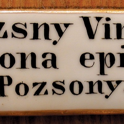 Jednomanuálový organ s pedálom I / P / 9 (7+2)